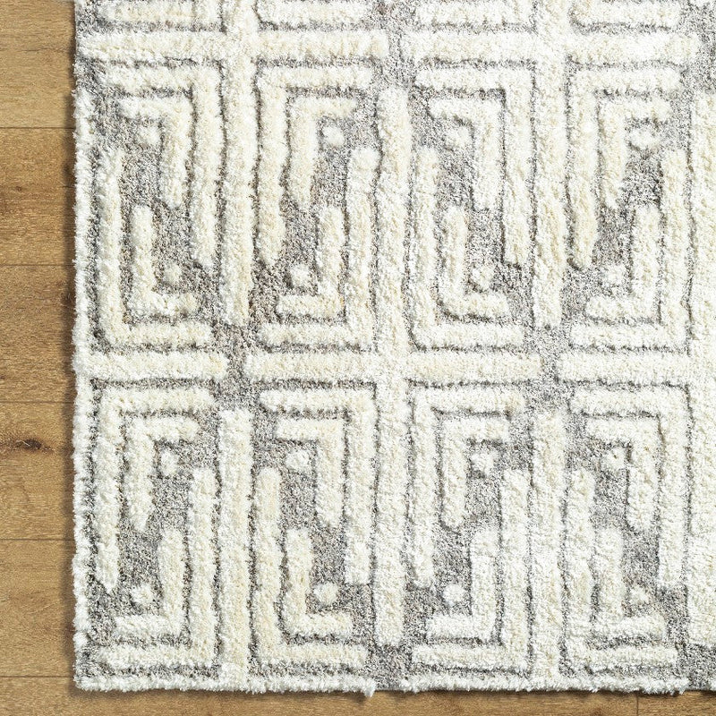 Hustonville Global Taupe Area Rug