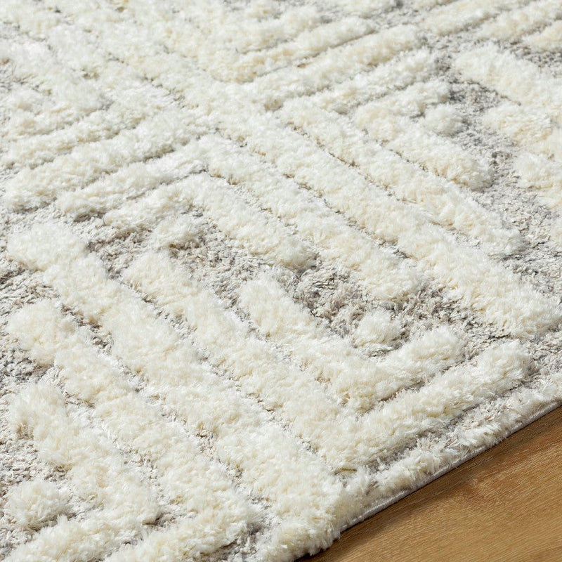 Hustonville Global Taupe Area Rug