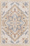 Morrowville Traditional Light Rust Area Rug