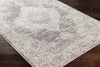 Mullinville Traditional Beige Area Rug