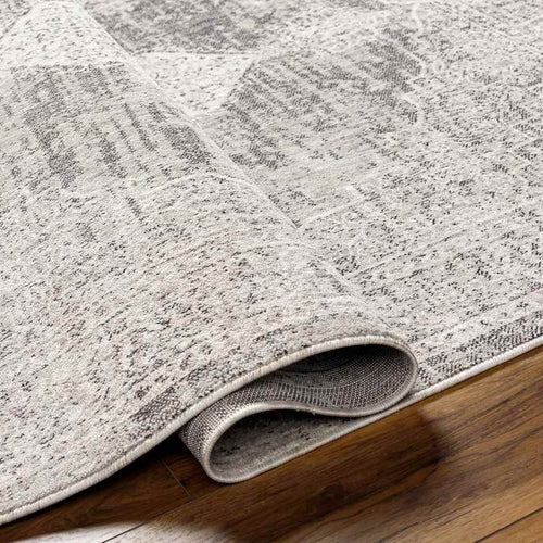 Mullinville Traditional Beige Area Rug