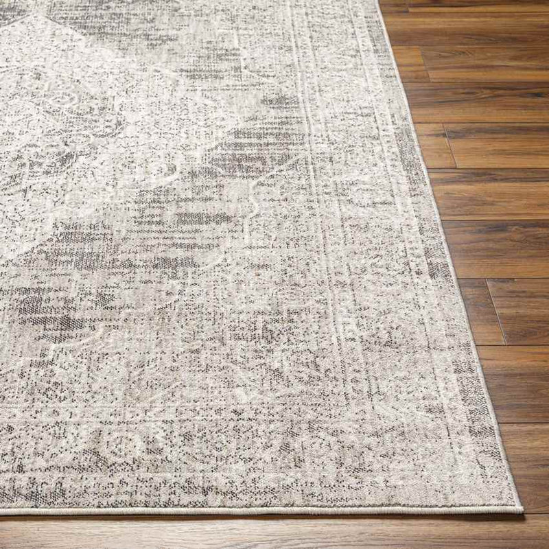 Mullinville Traditional Beige Area Rug