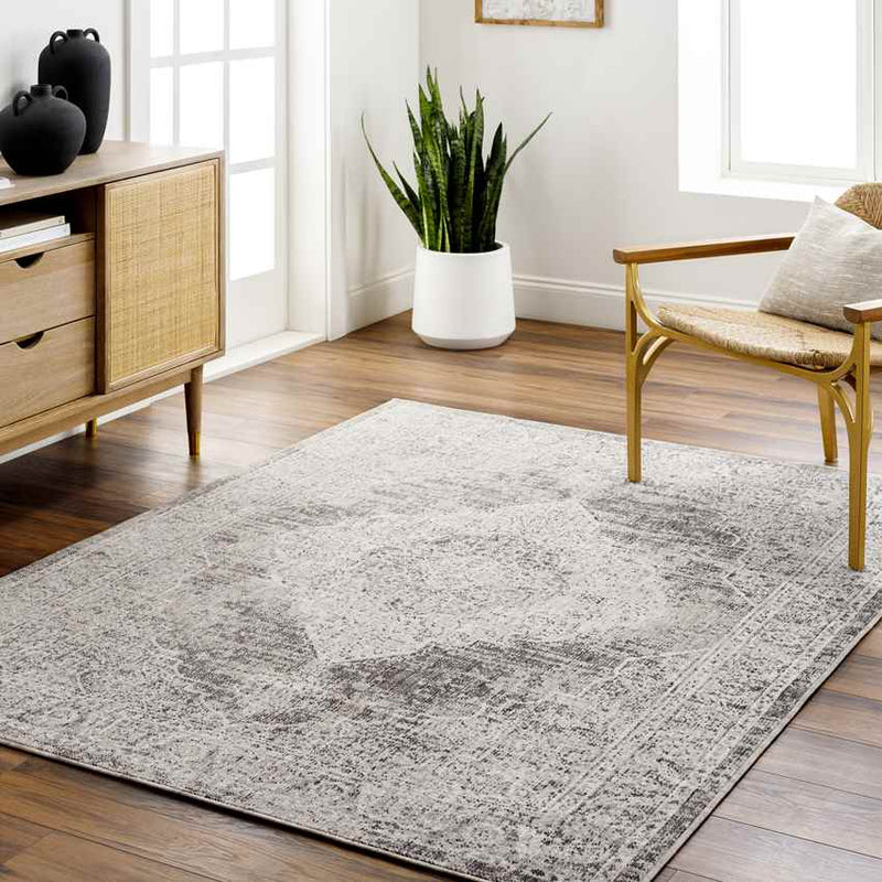 Mullinville Traditional Beige Area Rug