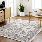 Murray Hill Traditional Beige Area Rug