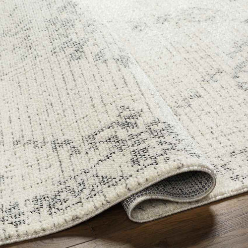 Heritage Creek Traditional Beige Area Rug