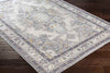 Adella Traditional Gray Area Rug