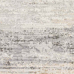 Elodia Modern Gray Area Rug