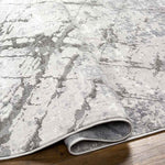 Brooklynn Modern Gray Area Rug