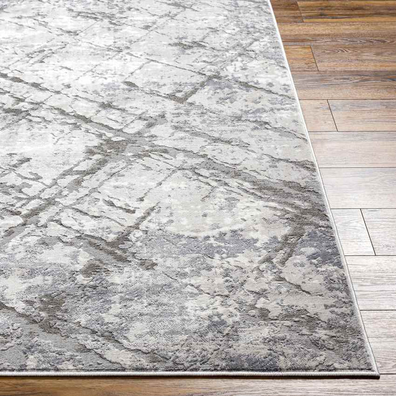 Brooklynn Modern Gray Area Rug