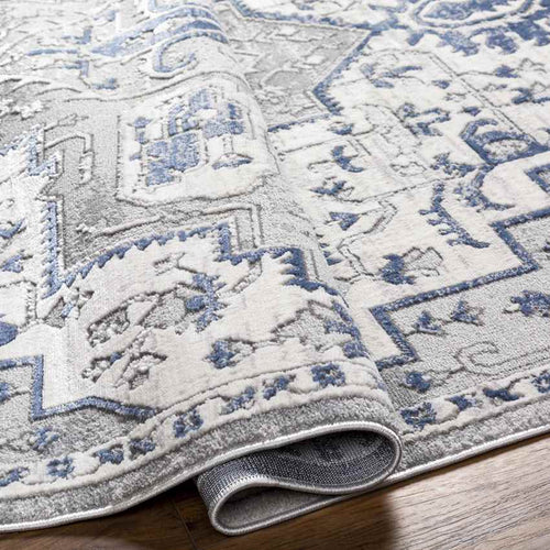 Katey Traditional Gray Area Rug