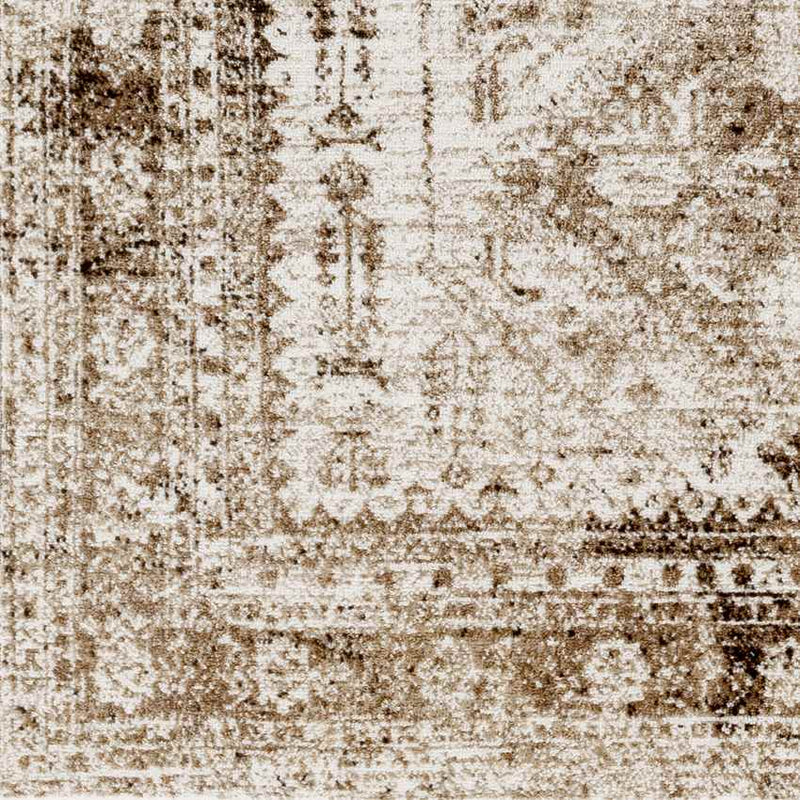 Jules Traditional Brown Area Rug