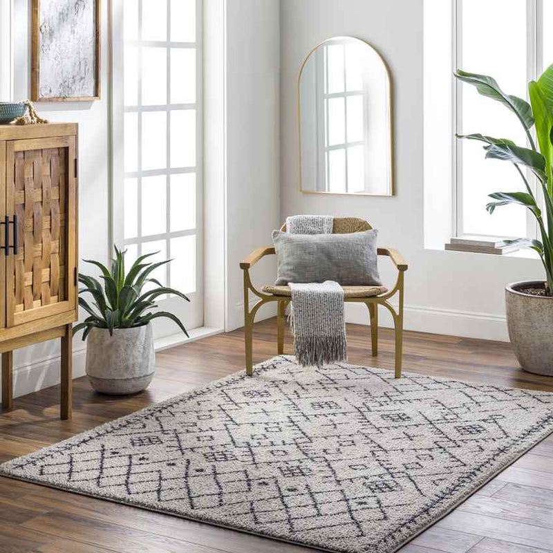 Deeanna Global Light Gray/Black Washable Area Rug