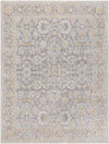 Mekia Traditional Medium Gray Area Rug