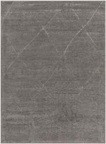 Pietro Global Charcoal Washable Area Rug
