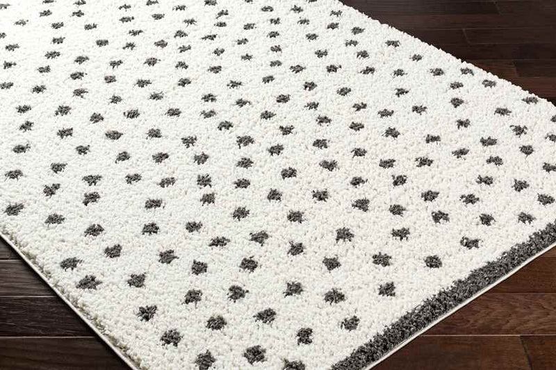 Aerica Modern Ivory/Dark Gray Area Rug