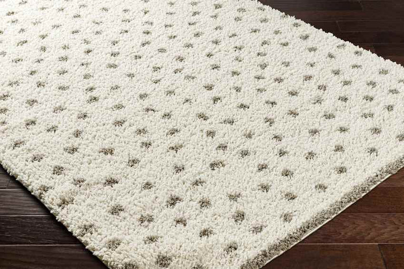 Aerica Modern Ivory/Camel Area Rug