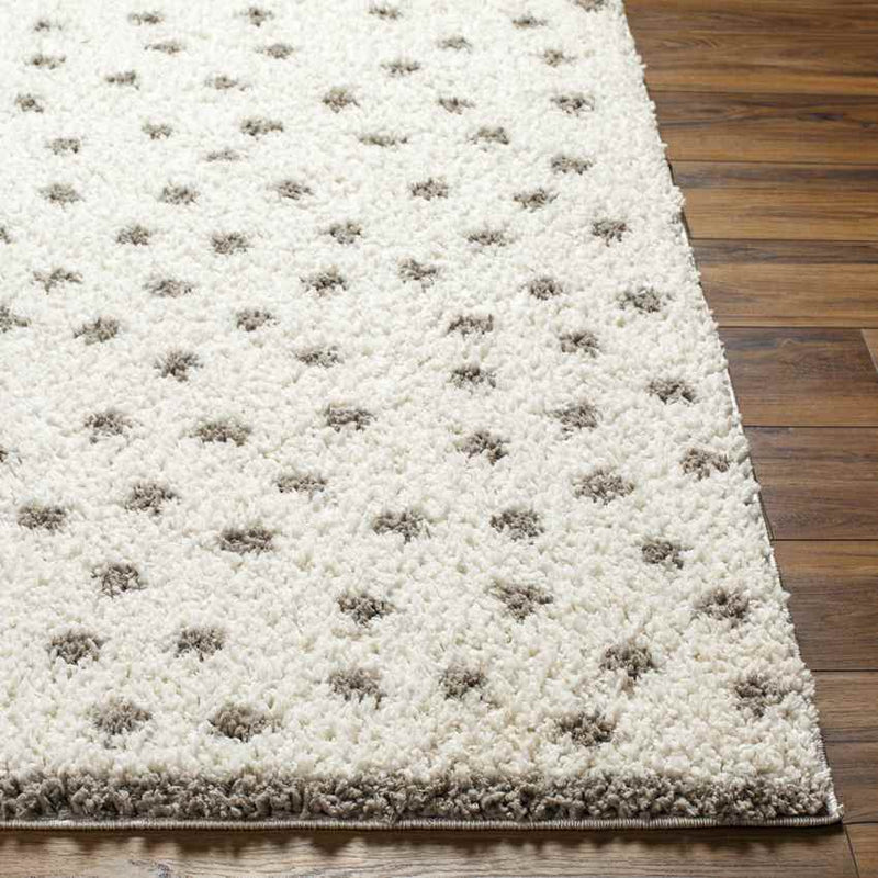 Aerica Modern Ivory/Camel Area Rug