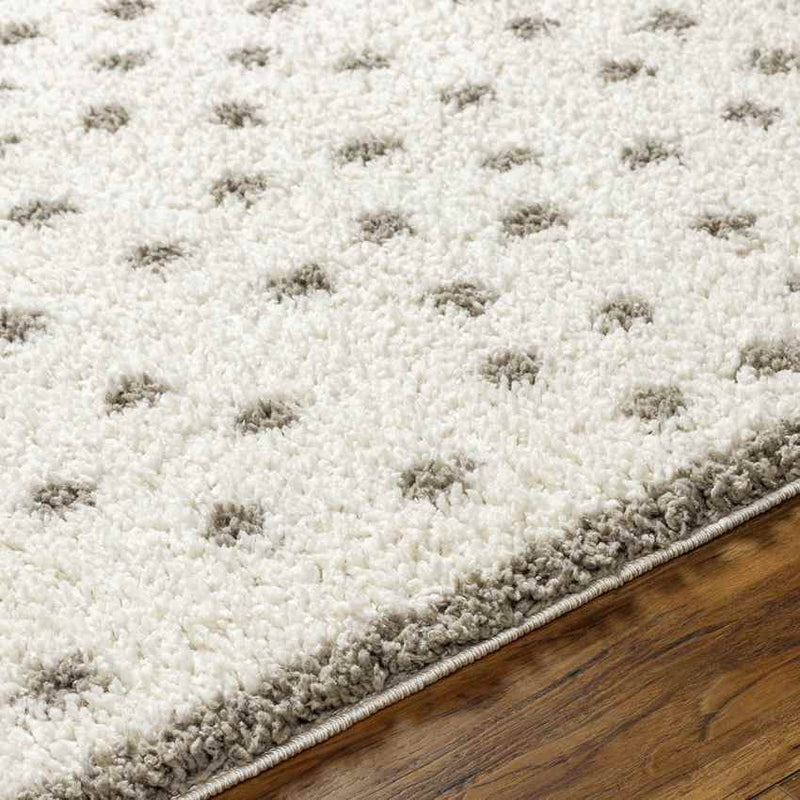 Aerica Modern Ivory/Camel Area Rug