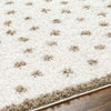 Aerica Modern Ivory/Brown Area Rug