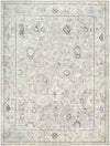 Davina Traditional Light Gray Area Rug - Becki Owens x Livabliss