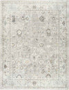 Davina Traditional Light Gray Area Rug - Becki Owens x Livabliss
