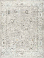 Davina Traditional Light Gray Area Rug - Becki Owens x Livabliss