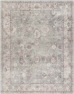 Davina Traditional Beige/Dark Brown Area Rug - Becki Owens x Livabliss