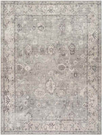 Davina Traditional Beige/Dark Brown Area Rug - Becki Owens x Livabliss