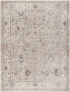 Davina Traditional Camel Area Rug - Becki Owens x Livabliss