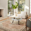 Lila Traditional Cinnamon Area Rug - Becki Owens x Livabliss