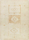 Solana Global Apricot Area Rug - Becki Owens x Livabliss