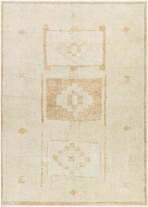 Solana Global Apricot Area Rug - Becki Owens x Livabliss