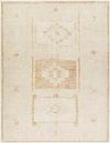 Solana Global Apricot Area Rug - Becki Owens x Livabliss