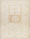 Solana Global Apricot Area Rug - Becki Owens x Livabliss