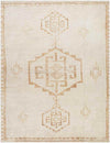 Solana Global Apricot/Beige Area Rug - Becki Owens x Livabliss