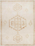 Solana Global Apricot/Beige Area Rug - Becki Owens x Livabliss