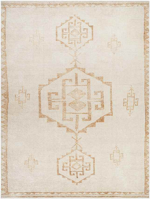 Solana Global Apricot/Beige Area Rug - Becki Owens x Livabliss