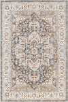 Kortny Traditional Ivory/Dark Brown Area Rug