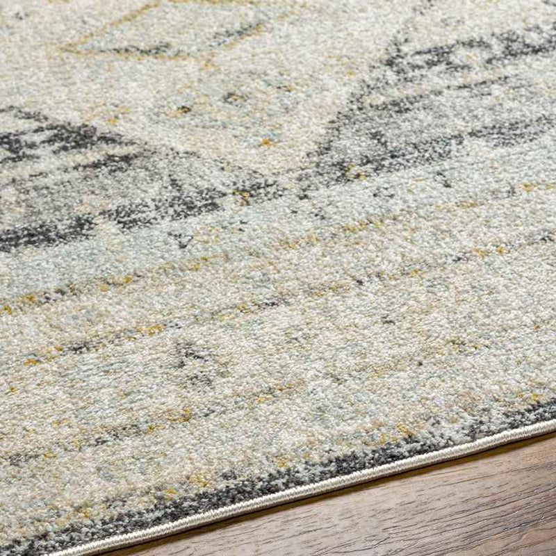 Javonte Traditional Light Beige/Pale Blue Area Rug