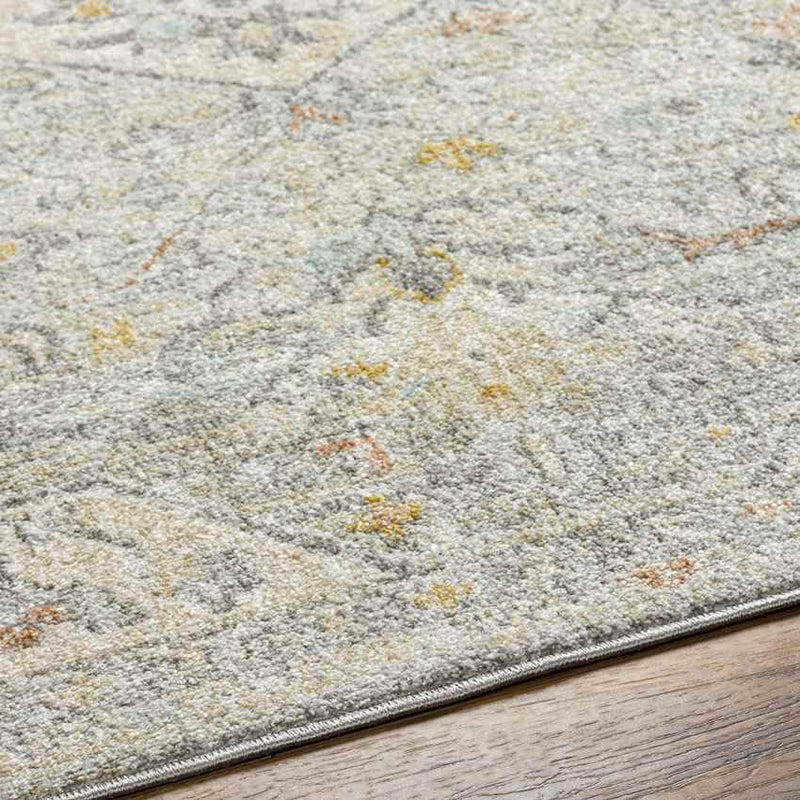Chiffon Traditional Dusty Sage/Light Beige Area Rug