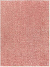 Dalon Modern Coral Area Rug