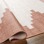 Wolfheze Global Coral/Gray Area Rug