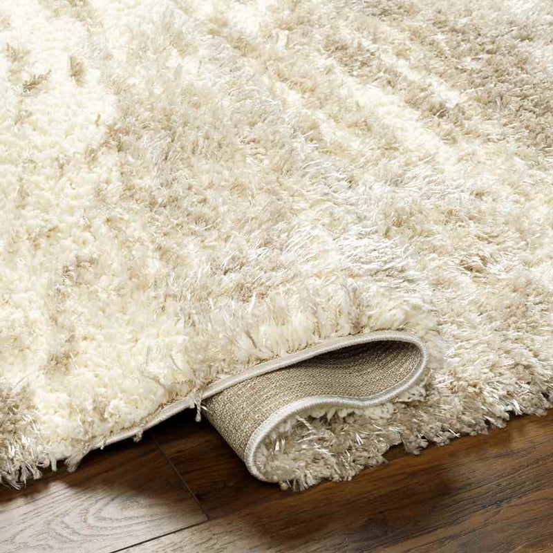 Evetta Modern Camel Area Rug