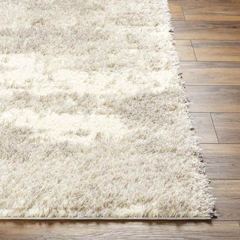 Evetta Modern Camel Area Rug