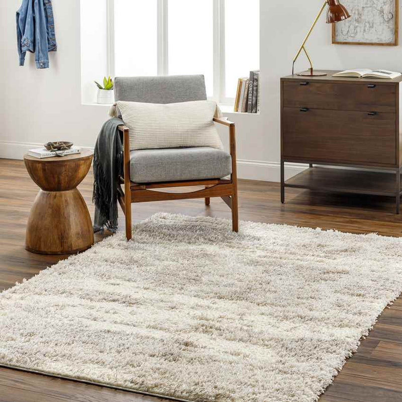 Evetta Modern Camel Area Rug