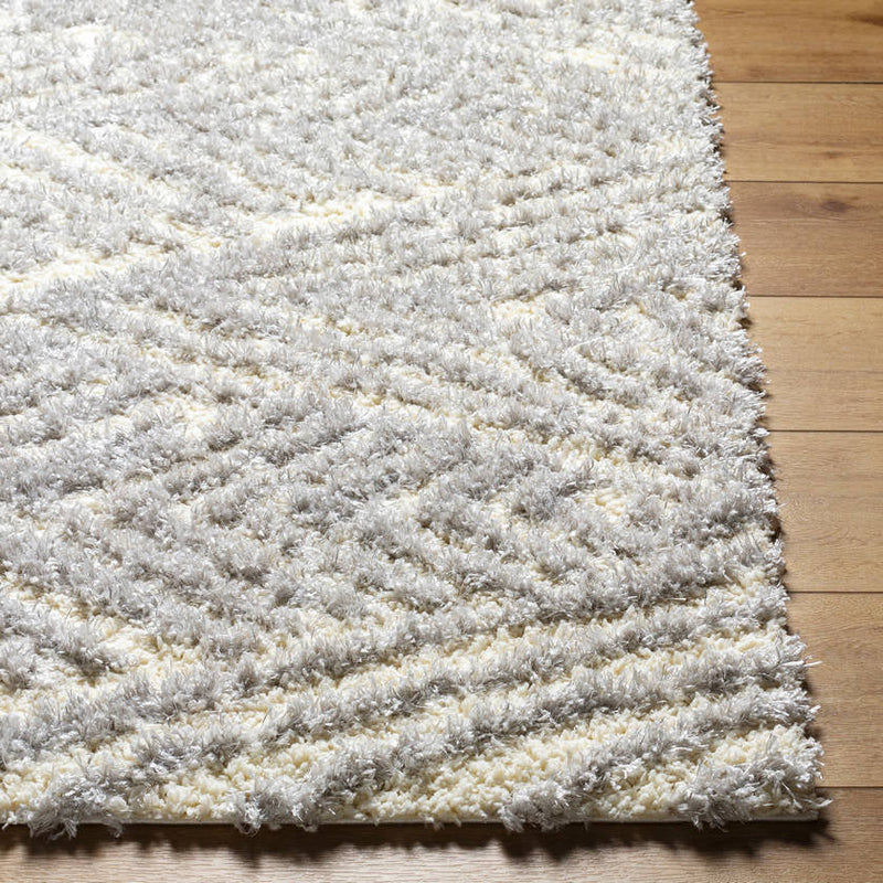Shadawn Global Gray Area Rug
