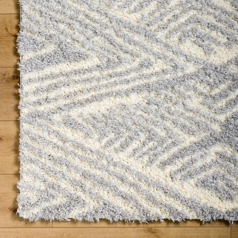 Shadawn Global Gray Area Rug