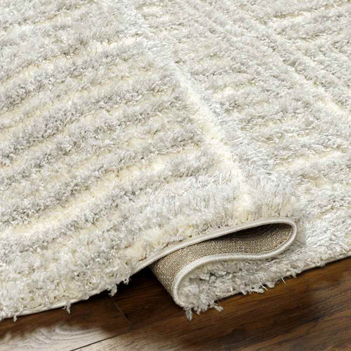 Aubree Modern Light Gray/Cream Area Rug