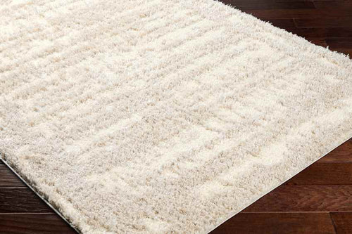 Takendra Modern Tan/Cream Area Rug