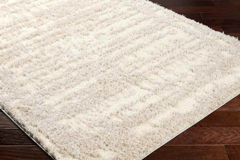 Takendra Modern Tan/Cream Area Rug